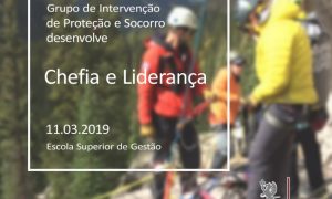 Chefia e Liderança